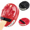 Boxing Training Mitts