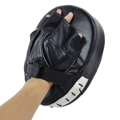 Boxing Training Mitts